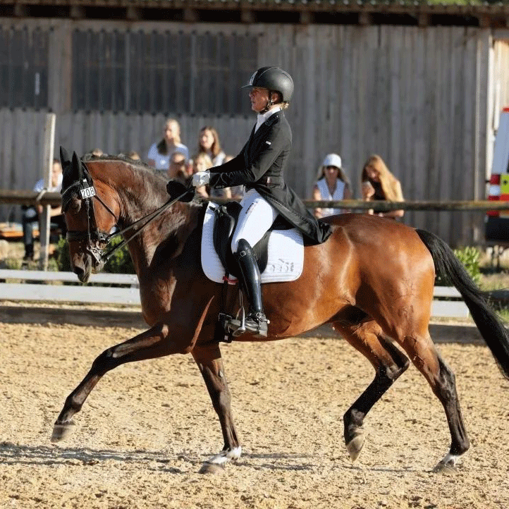 Dressurstall Sessler
