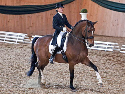 Reitanlage Rempelkofen