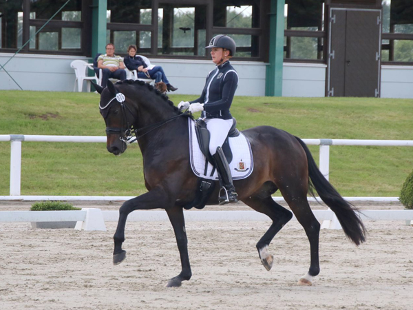 Reitanlage Rempelkofen