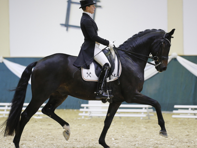 Reitstall Rempelkofen