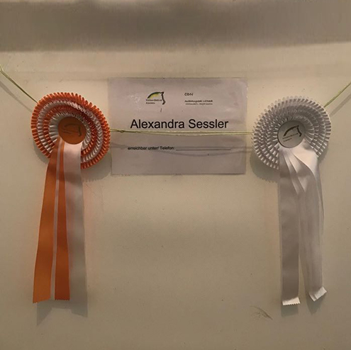Dressurstall Sessler