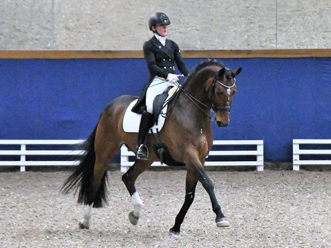Reitanlage Rempelkofen