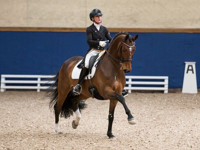 Dressurstall Sessler