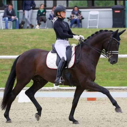 Dressurstall Sessler