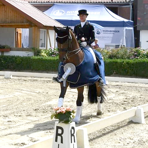Dressurstall Sessler