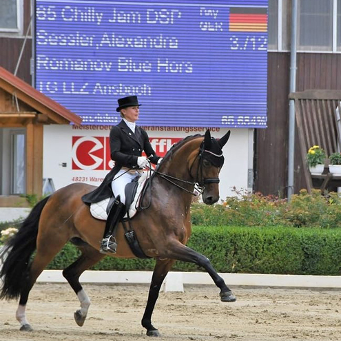 Dressurstall Sessler