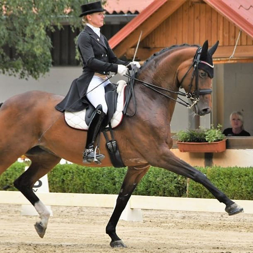 Dressurstall Sessler