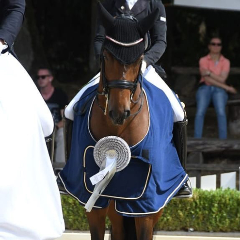 Dressurstall Sessler