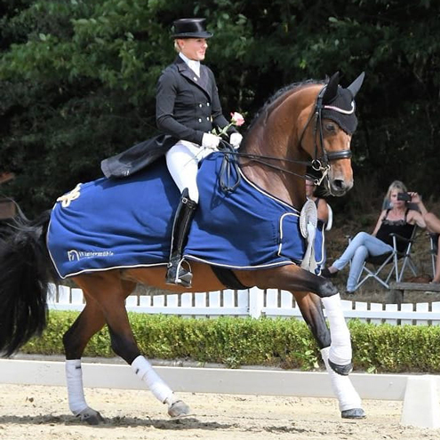 Dressurstall Sessler