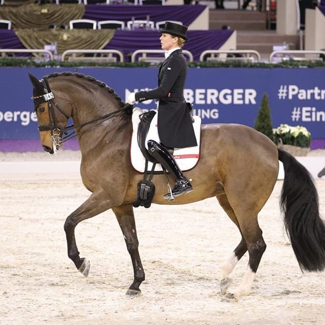 Dressurstall Sessler