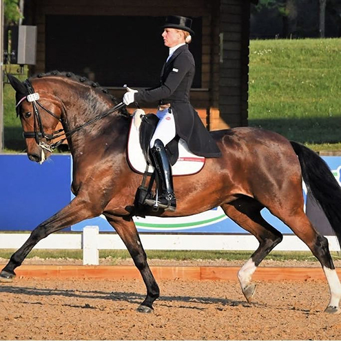 Dressurstall Sessler