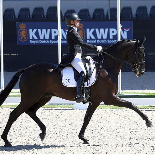 Dressurstall Sessler