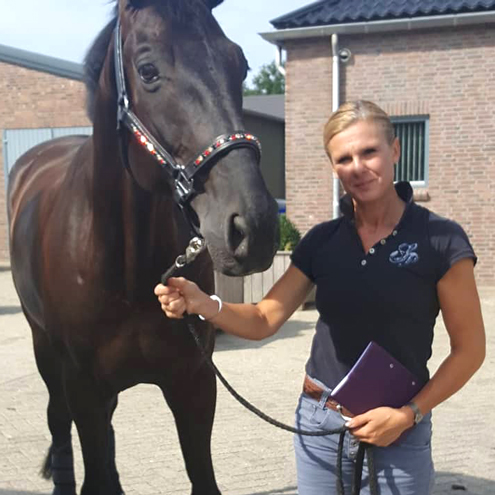 Dressurstall Sessler