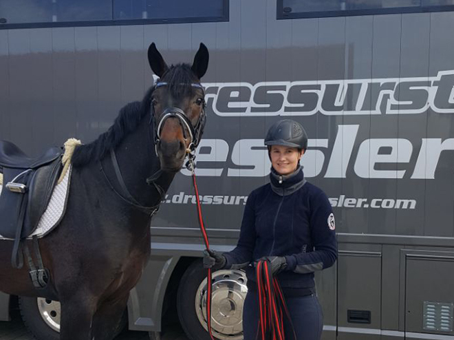 Dressurstall Sessler