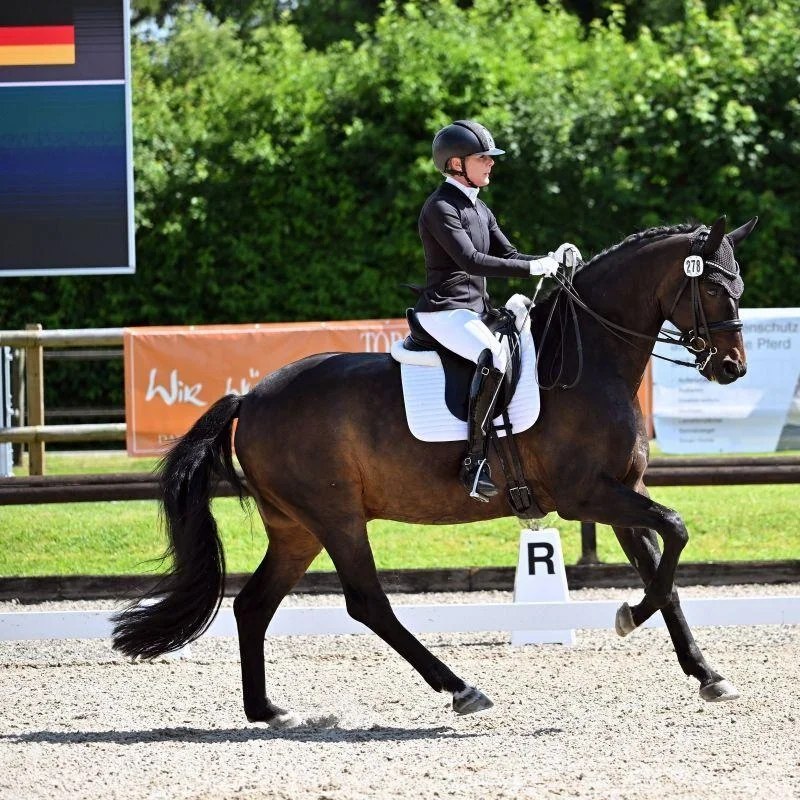 Dressurstall Sessler