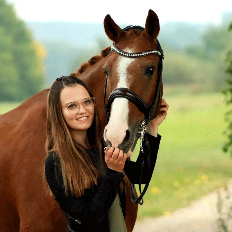Dressurstall Sessler