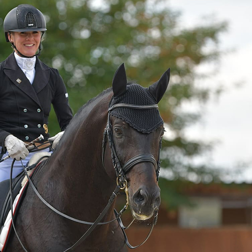 Dressurstall Sessler