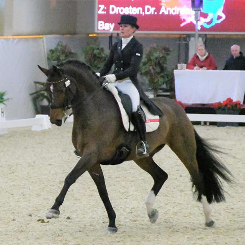 Dressurstall Sessler
