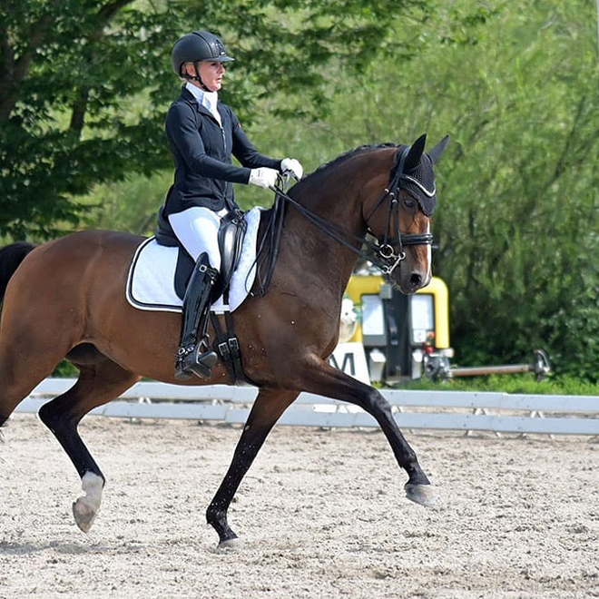 Dressurstall Sessler