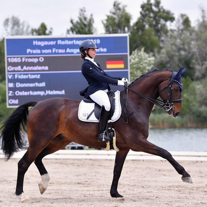 Dressurstall Sessler