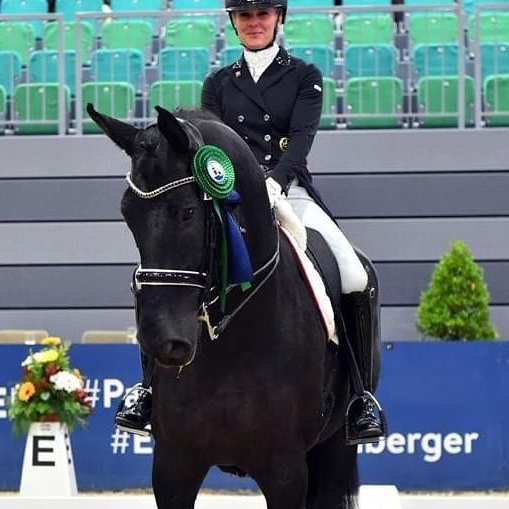 Dressurstall Sessler