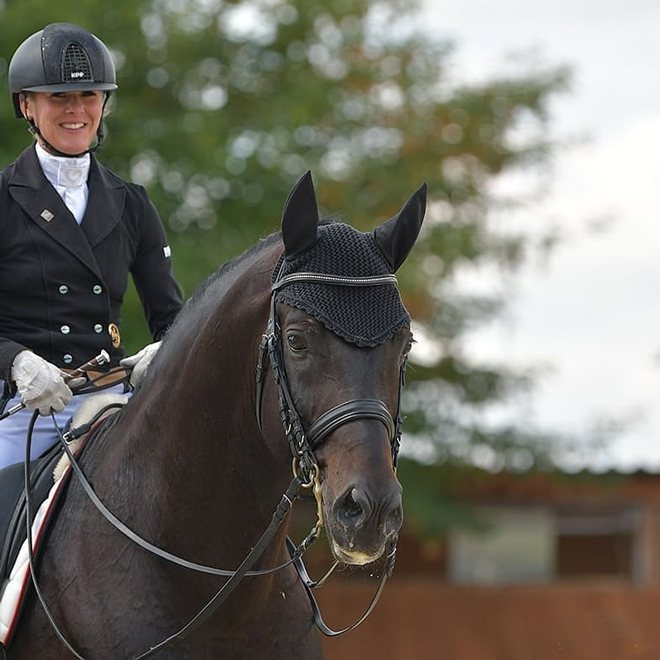 Dressurstall Sessler