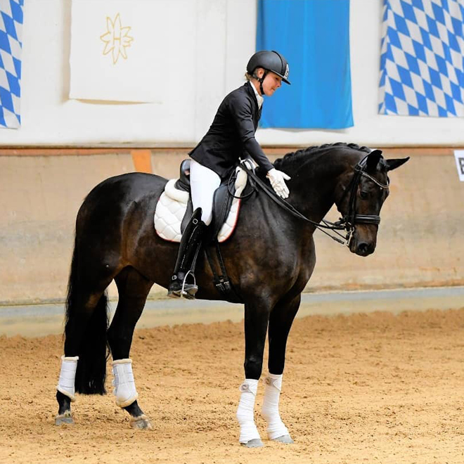 Dressurstall Sessler