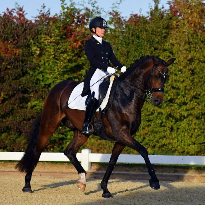 Dressurstall Sessler