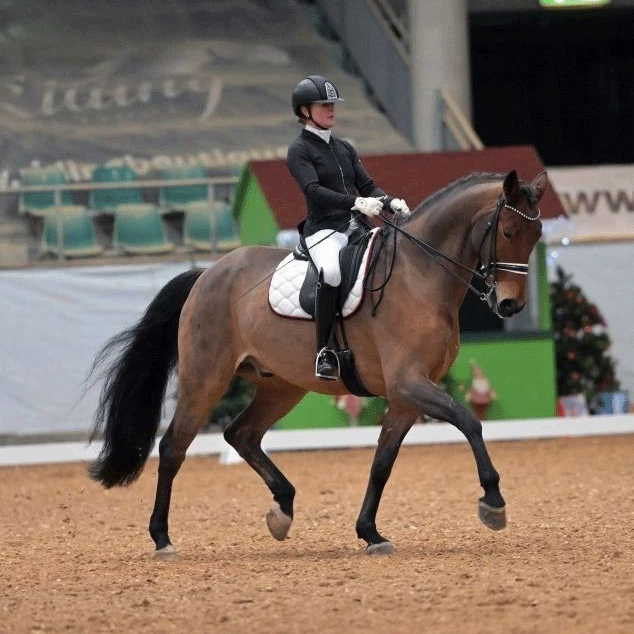 Dressurstall Sessler