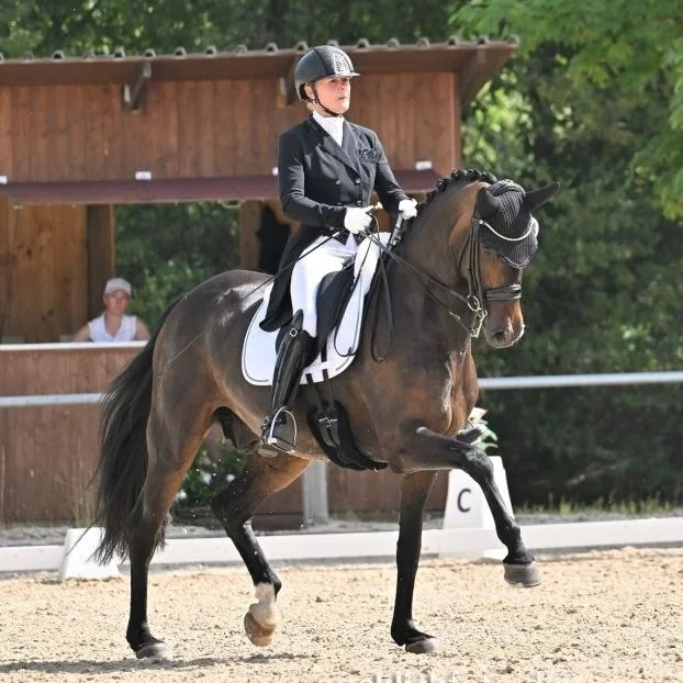Dressurstall Sessler