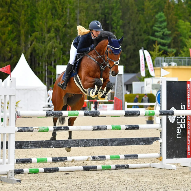Dressurstall Sessler