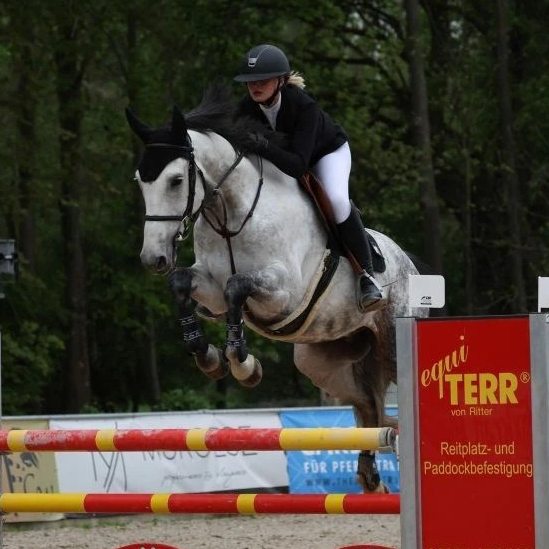 Dressurstall Sessler