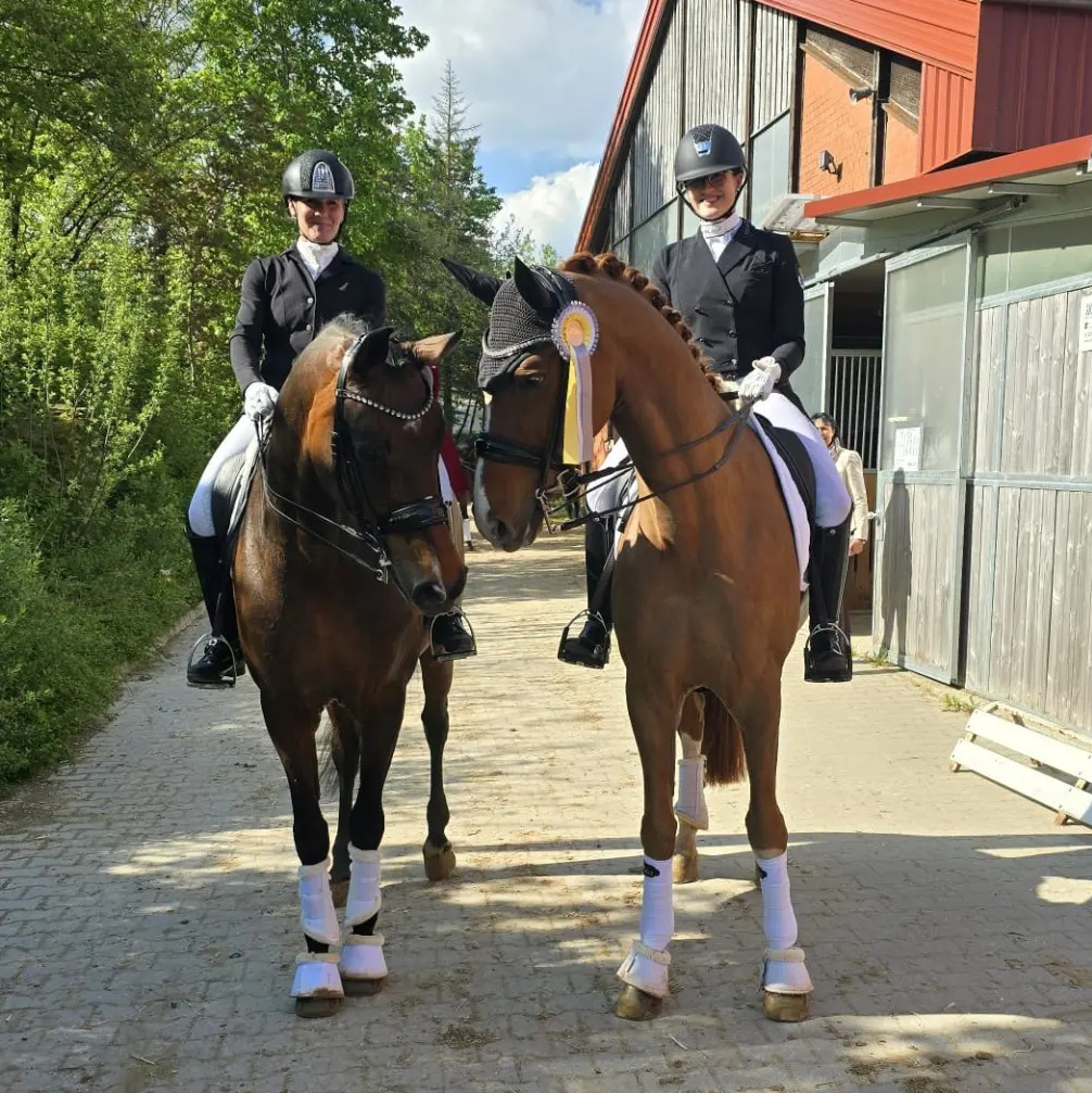 Dressurstall Sessler