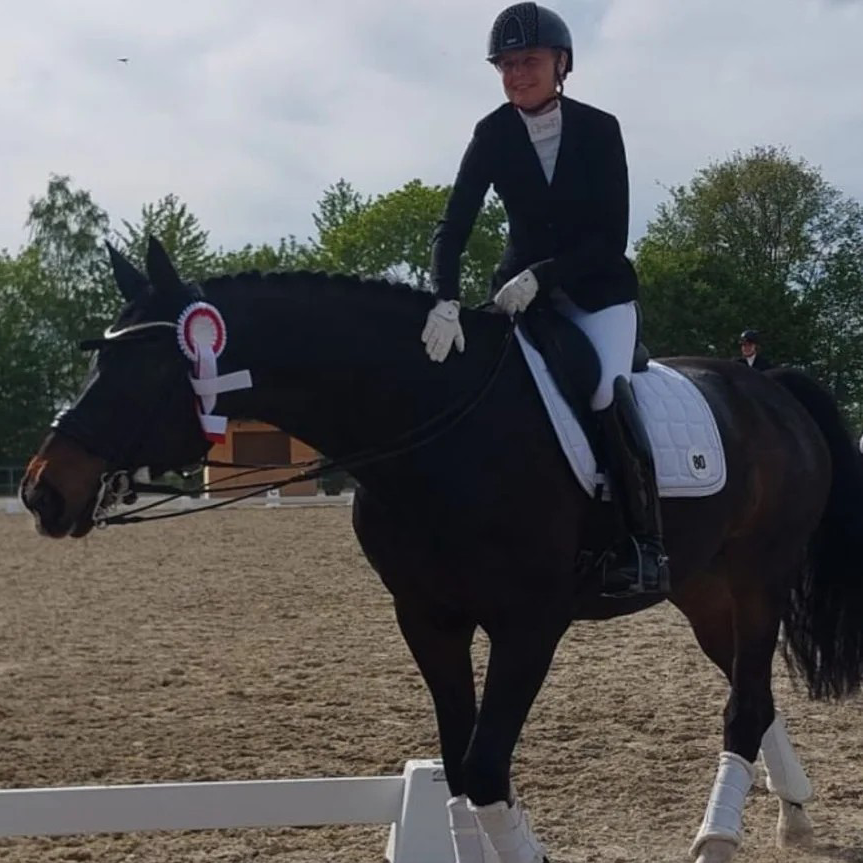 Dressurstall Sessler