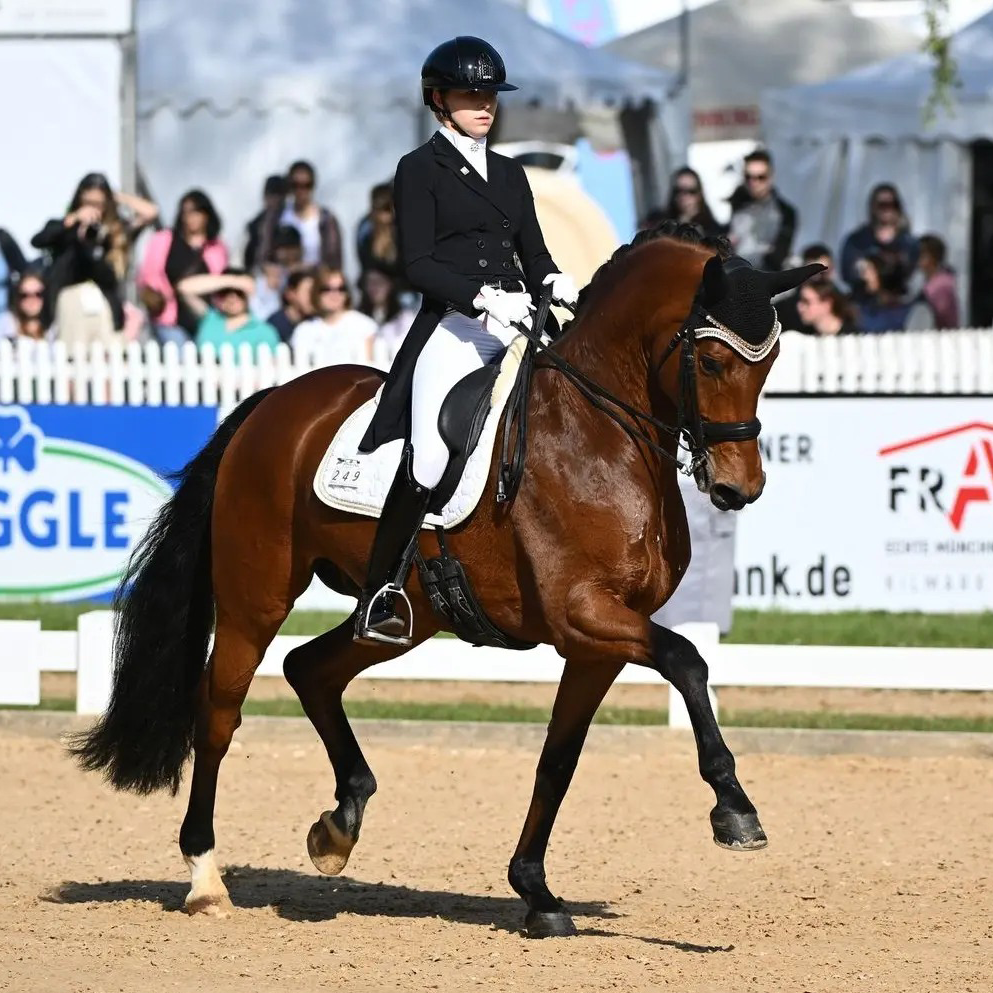 Dressurstall Sessler