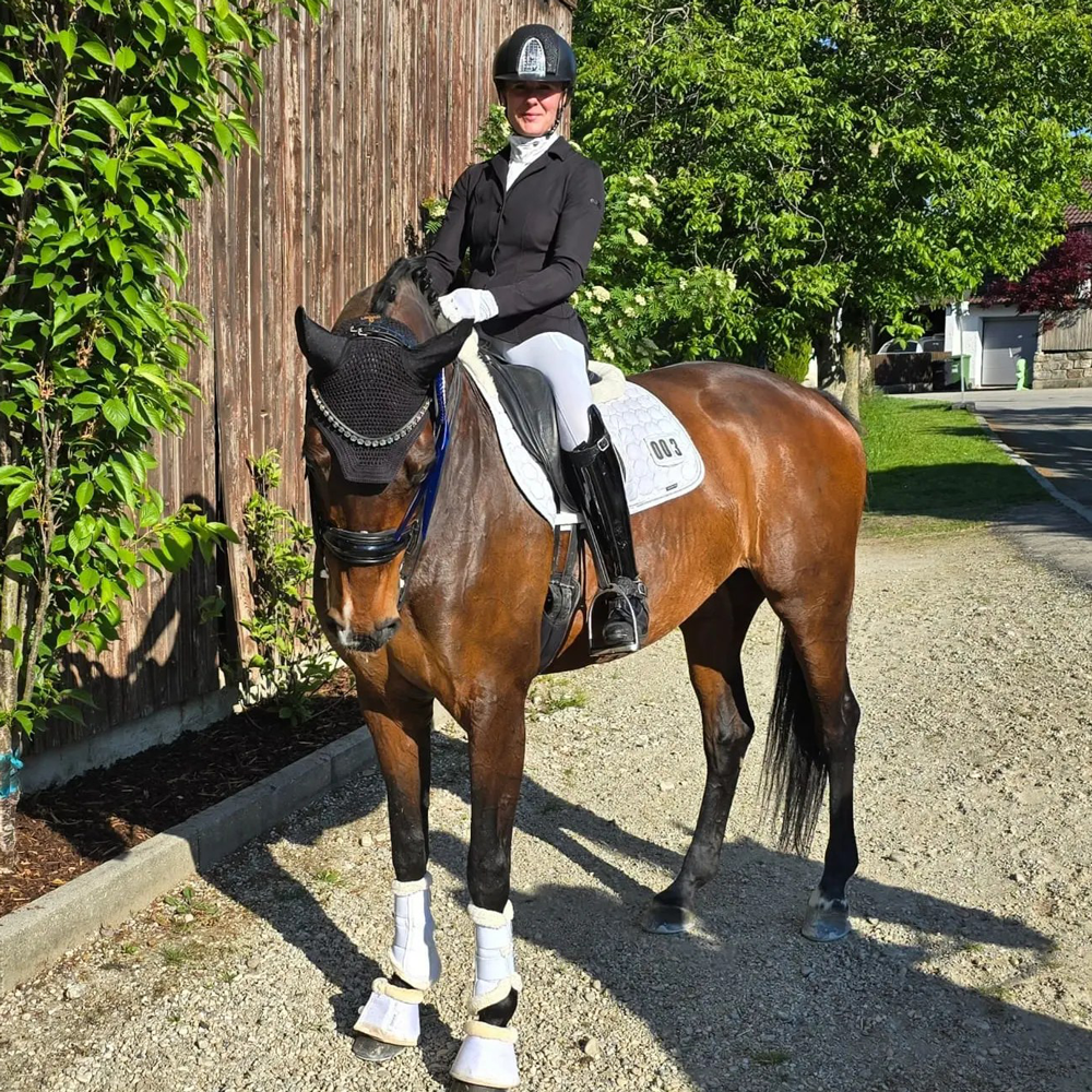 Dressurstall Sessler