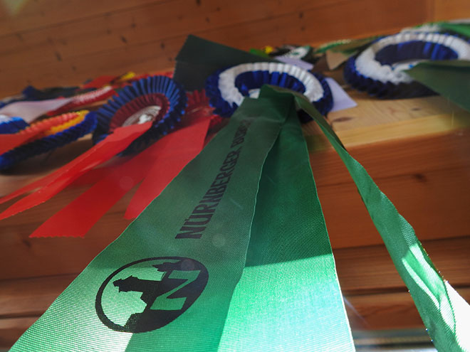 Reitanlage Rempelkofen