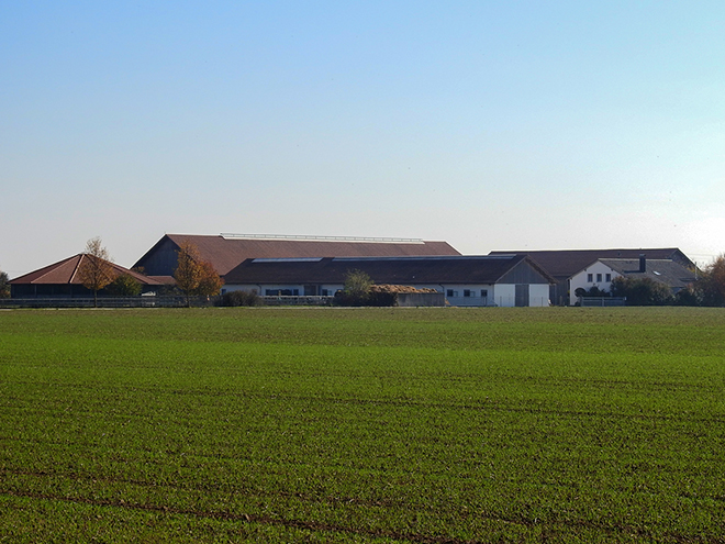 Reitanlage Rempelkofen