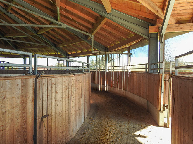 Reitanlage Rempelkofen