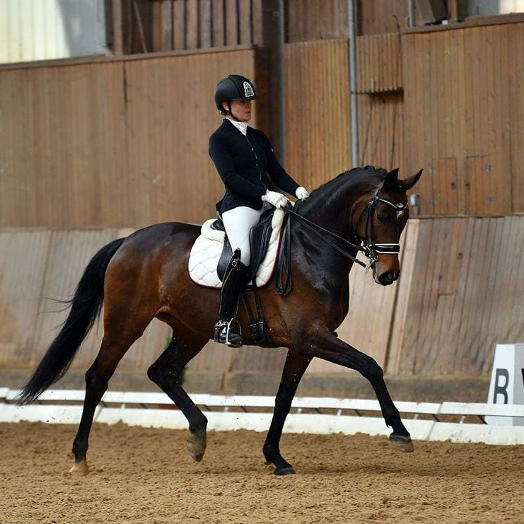 Dressurstall Sessler