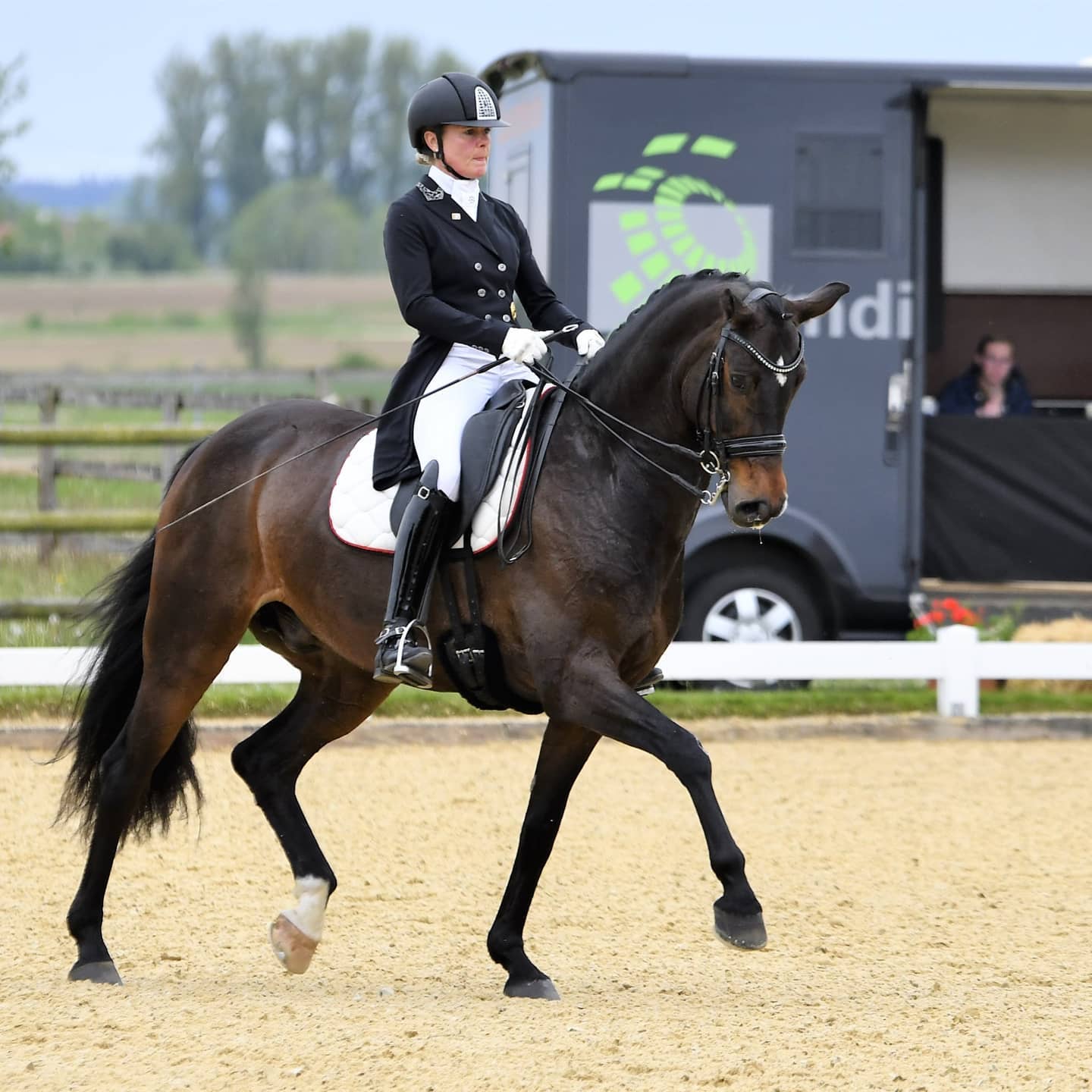 Dressurstall Sessler