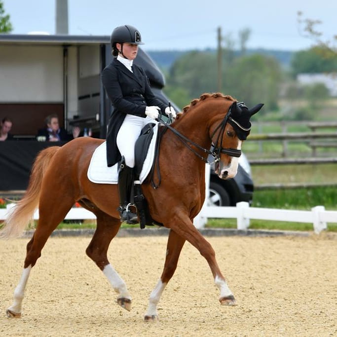 Dressurstall Sessler