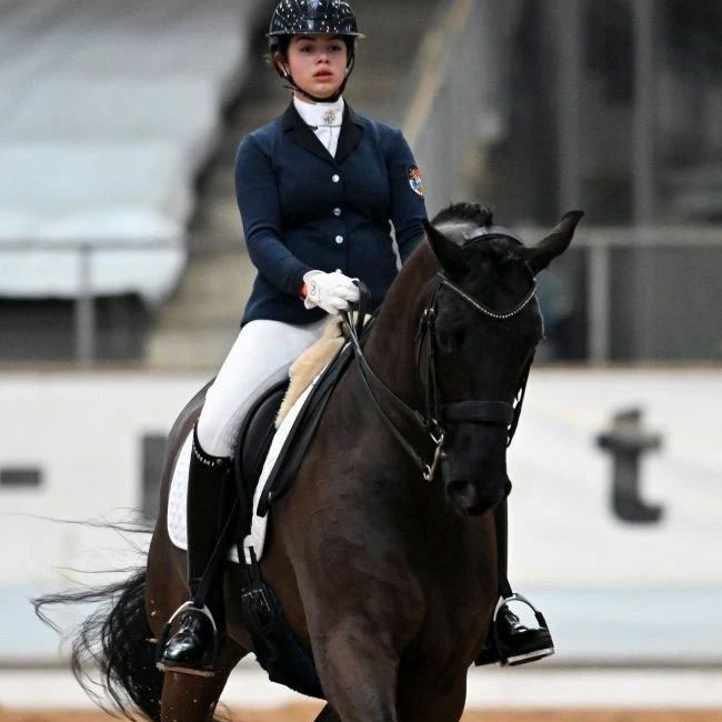 Dressurstall Sessler