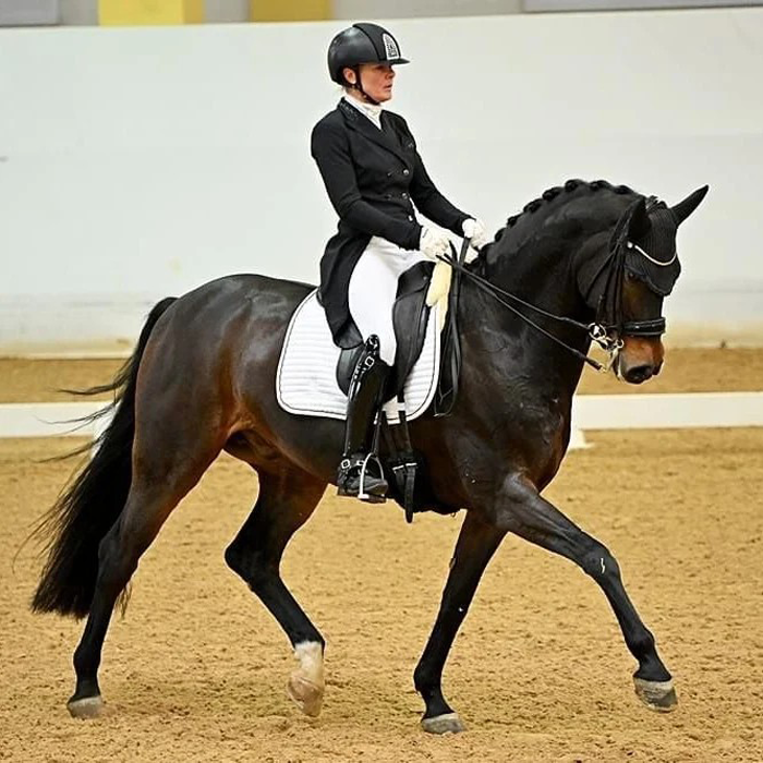 Dressurstall Sessler