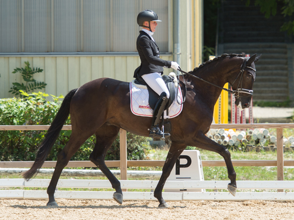 Reitanlage Rempelkofen