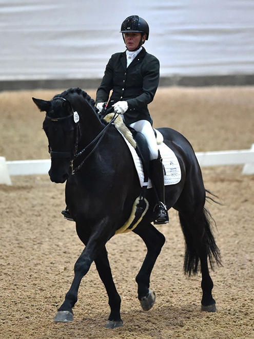 Dressurstall Sessler