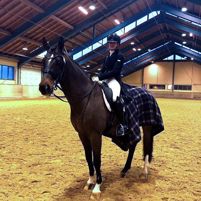 Dressurstall Sessler