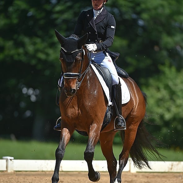 Dressurstall Sessler