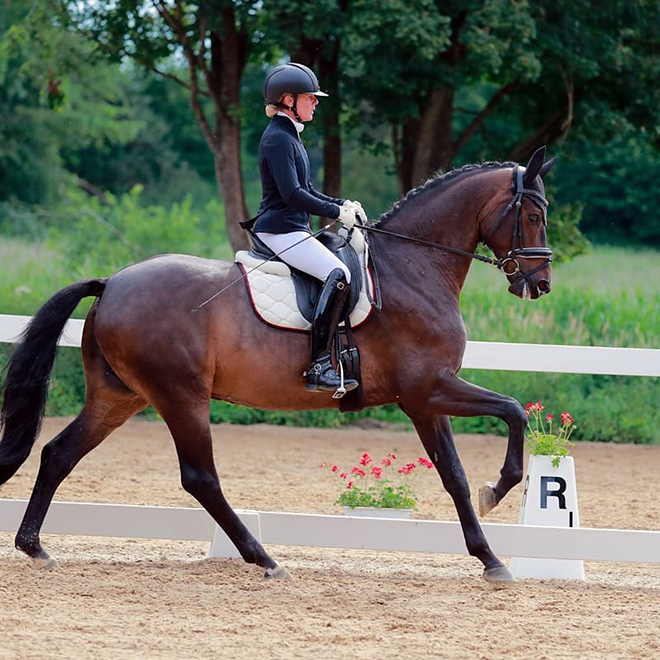 Dressurstall Sessler