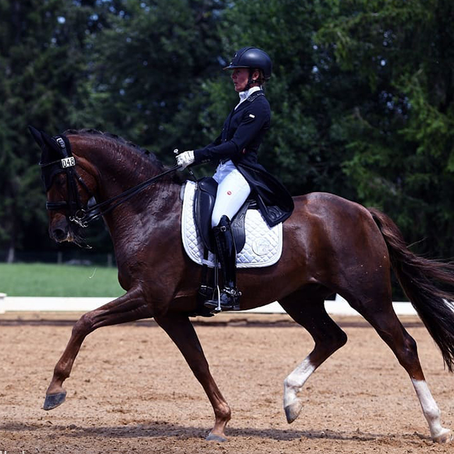 Dressurstall Sessler